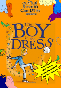 The Boy in the Dress Poster